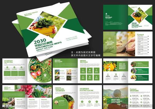 果蔬畫冊設計 視覺誘惑與營銷的藝術結合